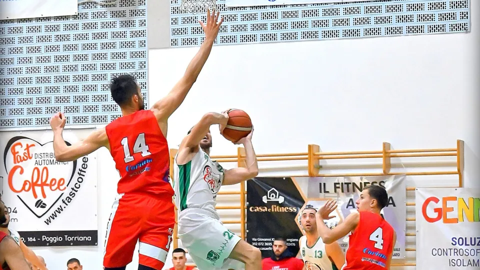 Villanova Tigers ed i Lions Coriano (Girone F)