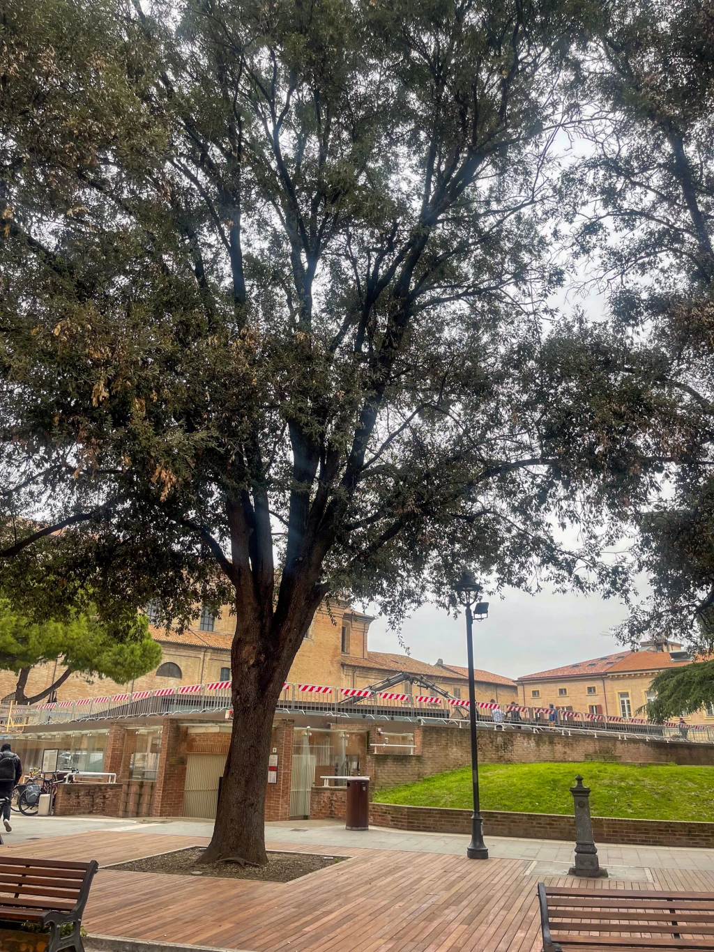 lavori in corso alla Domus del Chirurgo