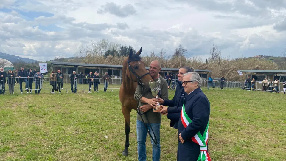 Antica Fiera di san Gregorio di Morciano di Romagna. Edizione 2026