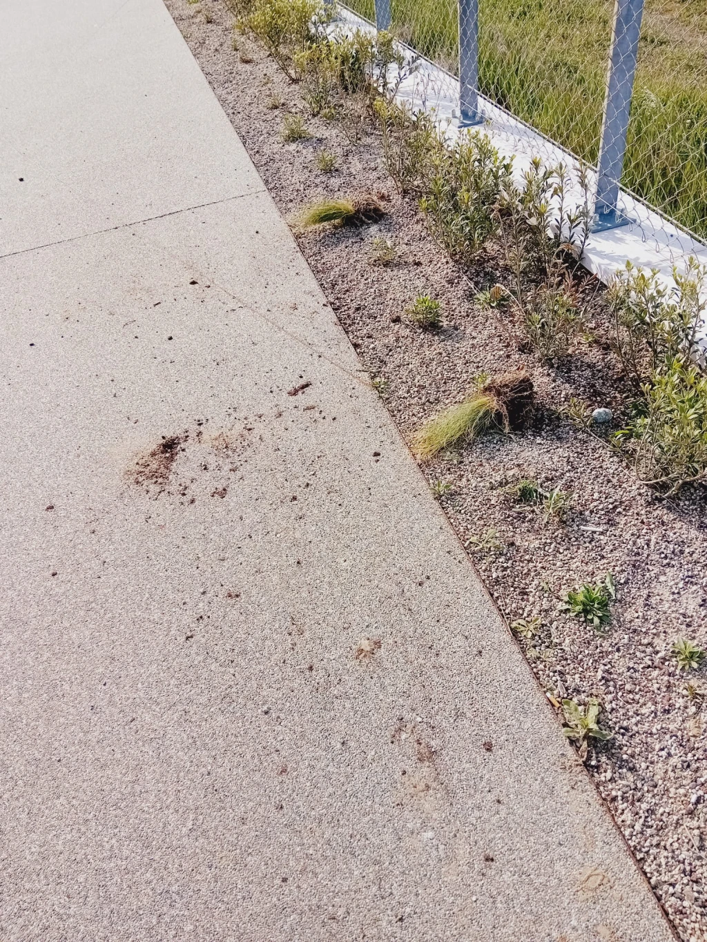 atto vandalico lungo il parco del mare