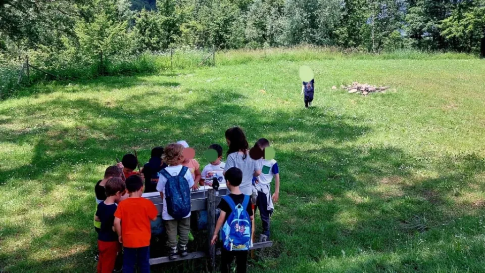 bambini campo badia tedalda