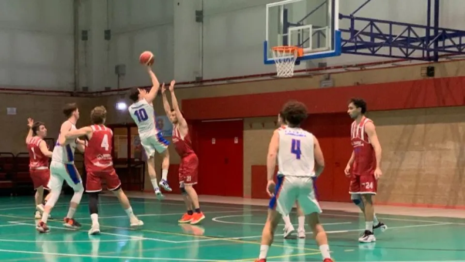 Basket Campagnola