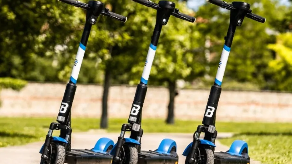 Bit Mobility