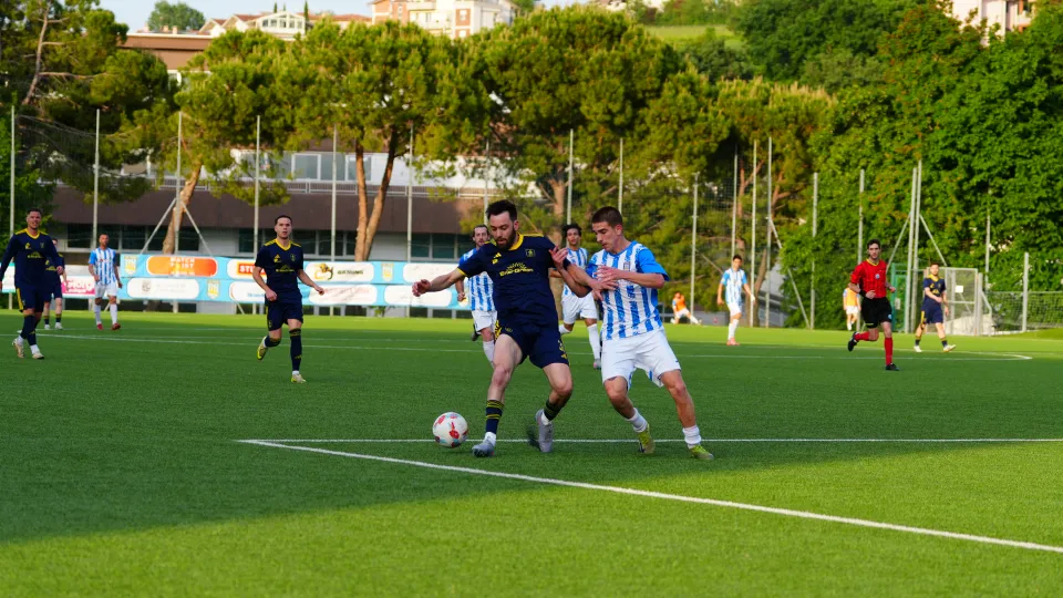 ©FSGC/Izzo