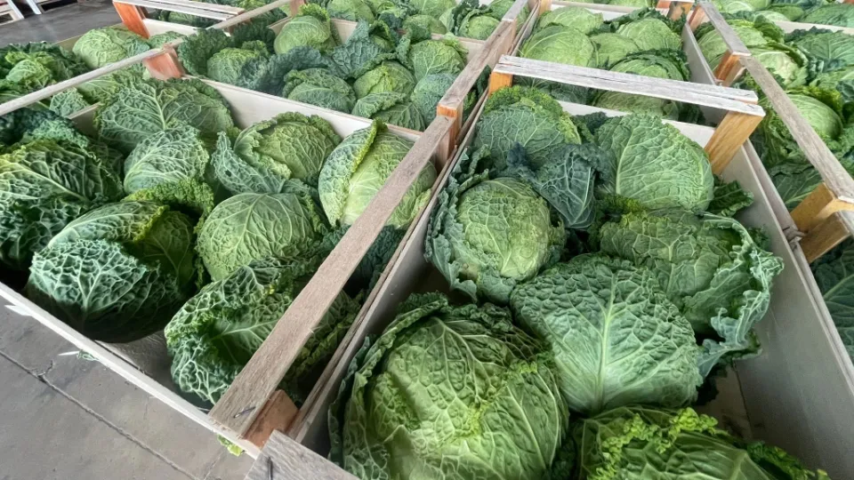 CAAR frutta e verdura donate