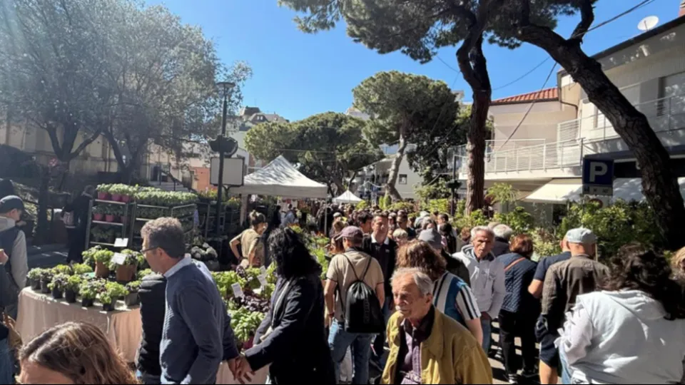 Cattolica in fiore