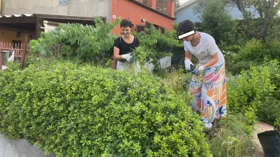 Civivo al lavoro