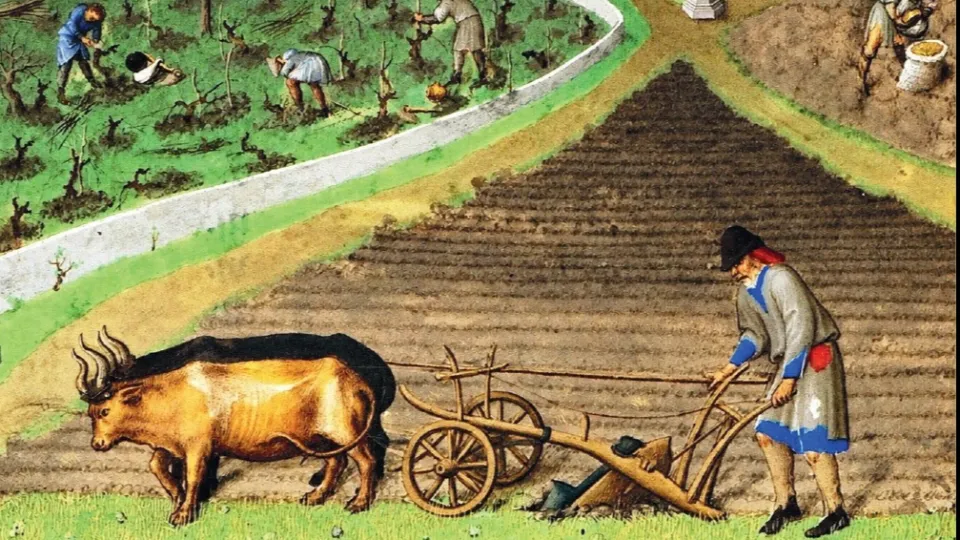 dalla copertina