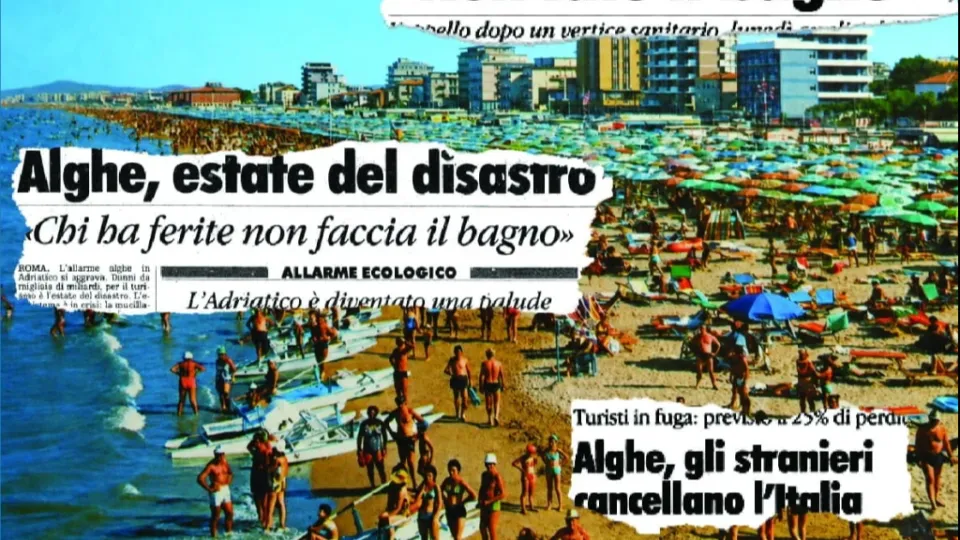 dalla copertina