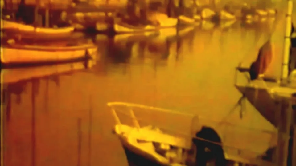 dall'archivio Liuzzi (@IcaroTeche)