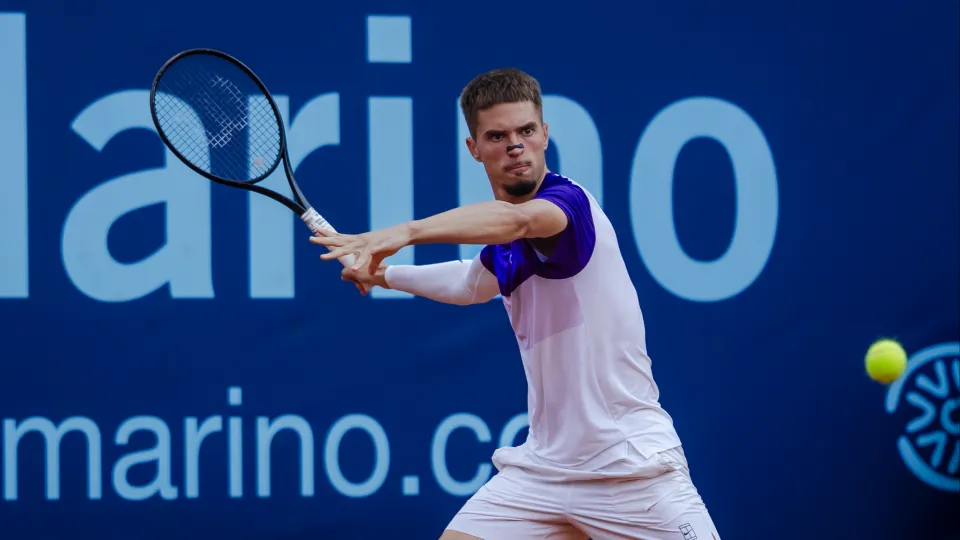 Dino Prizmic