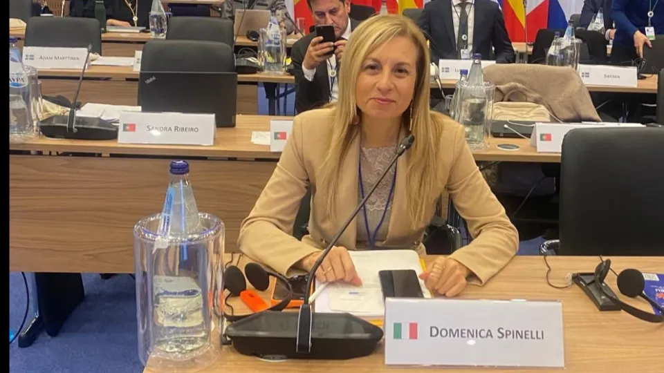 domenica spinelli europol