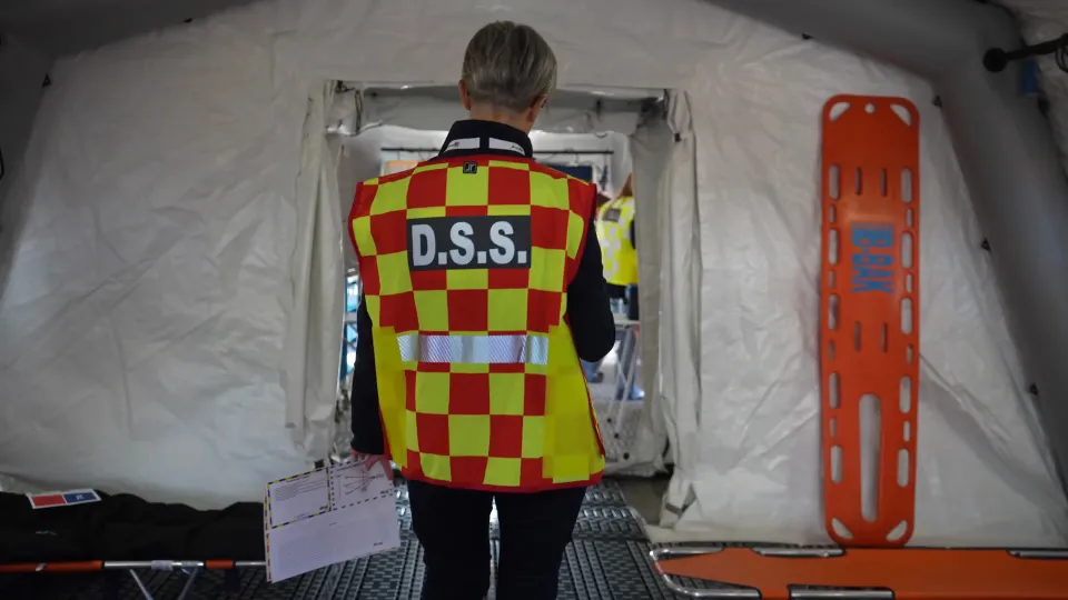DSS
