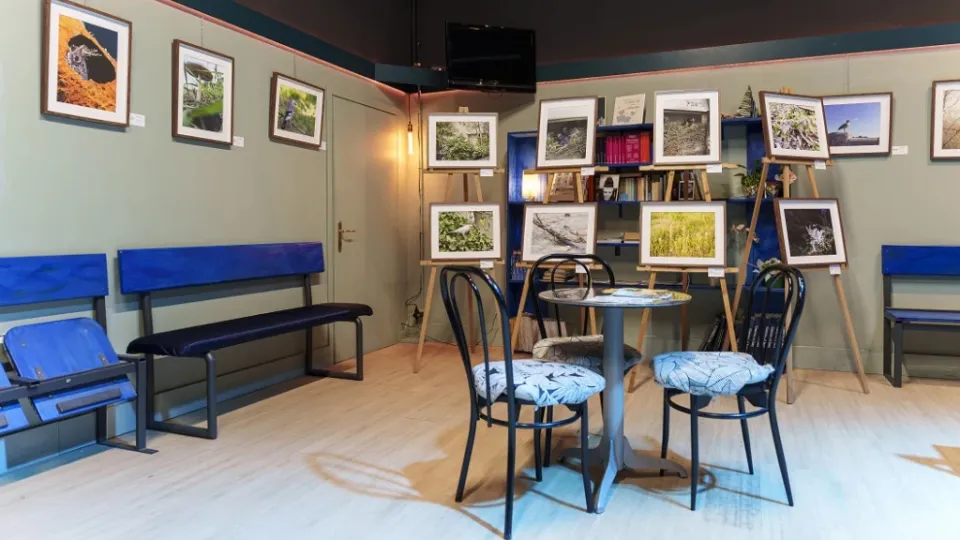 finissage mostra arianna lanci