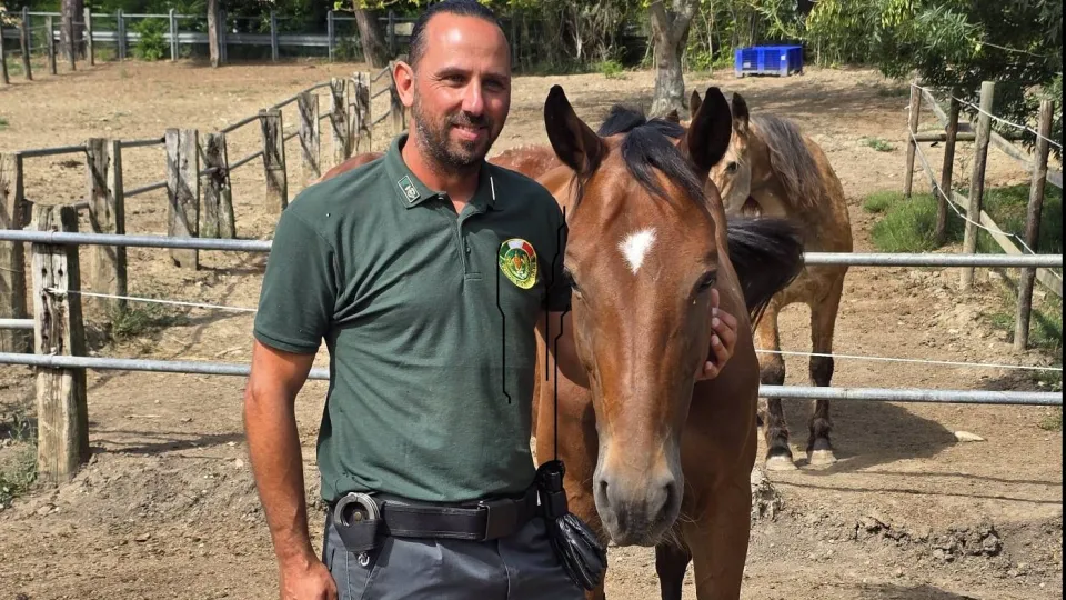 Guardie Zoofile Fare Ambiente