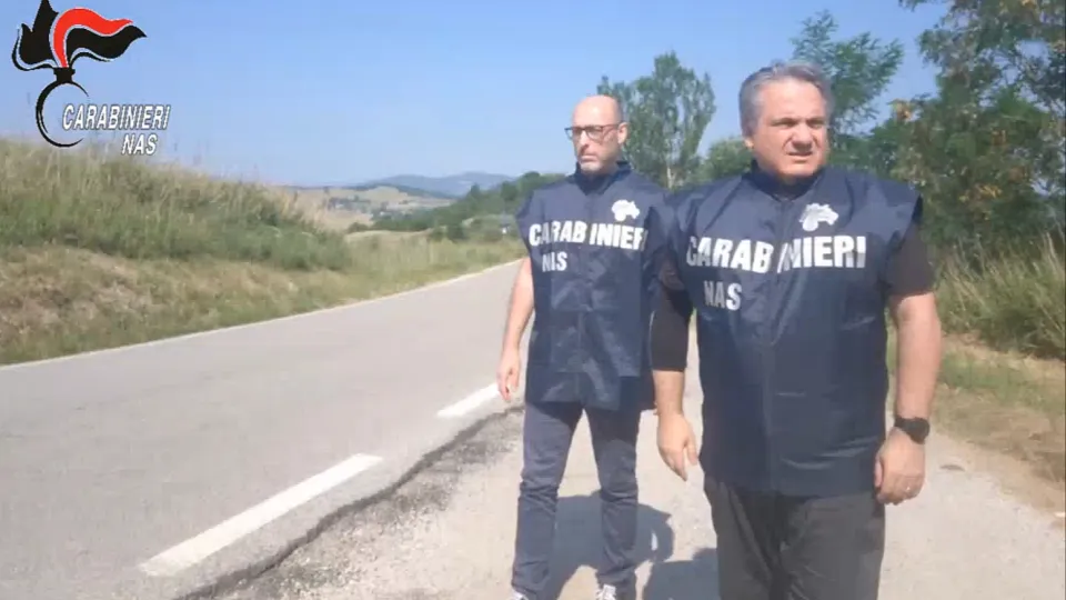 i controlli del NAS
