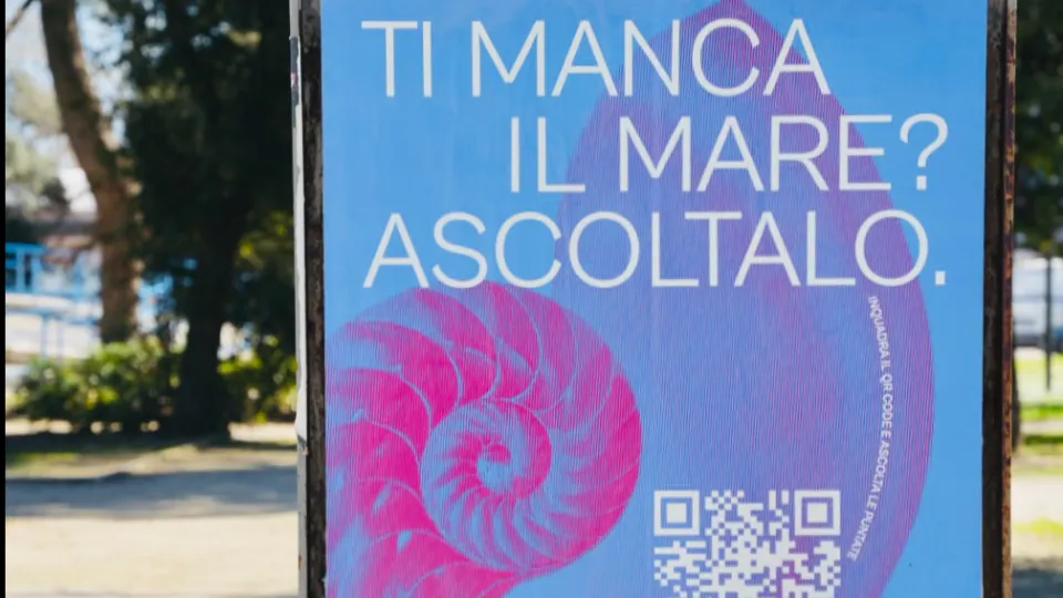 i manifesti affissi a Rimini