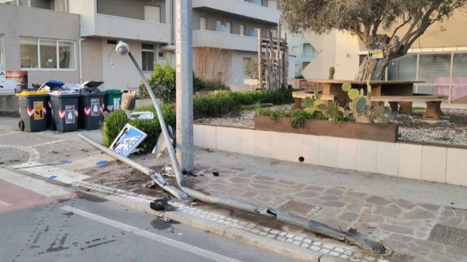 i pali abbattuti (Polizia Locale di Riccione)