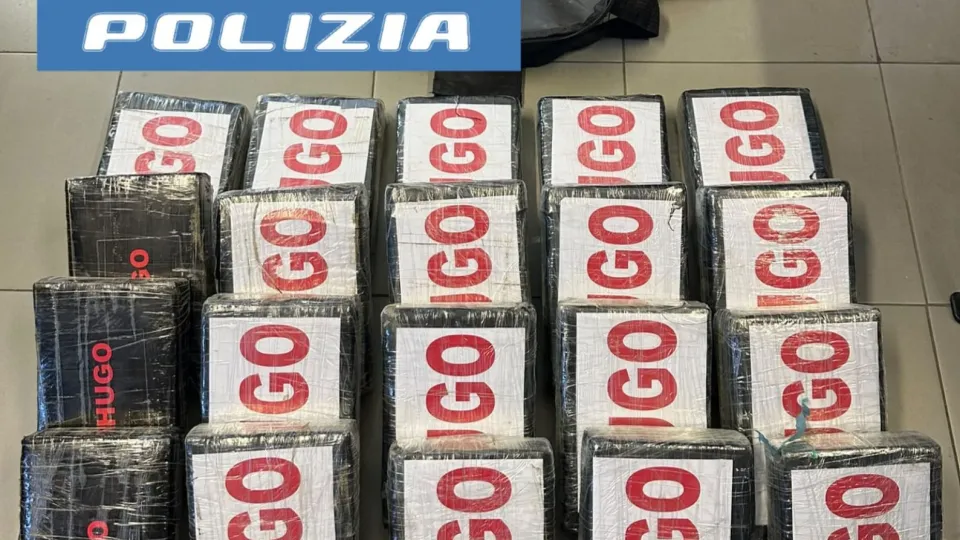 i panetti di cocaina sequestrati