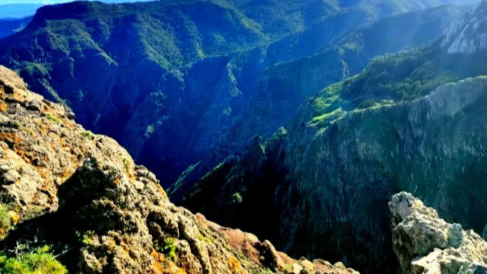 il barranco