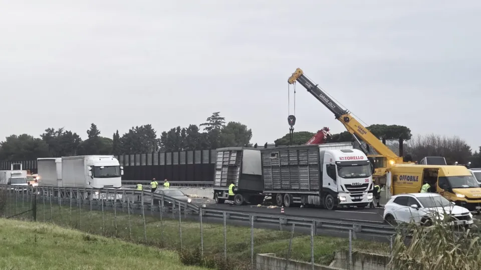 il camion che ha perso il carico (Adriapress)