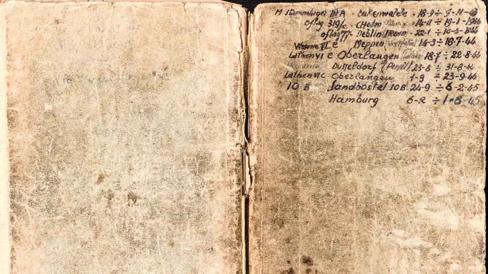 Il diario di Carlo Tosi