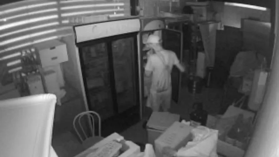 Il ladro ripreso dalle telecamere interne