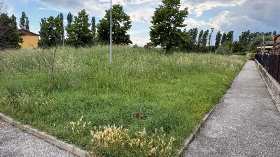 il parco dei Padulli