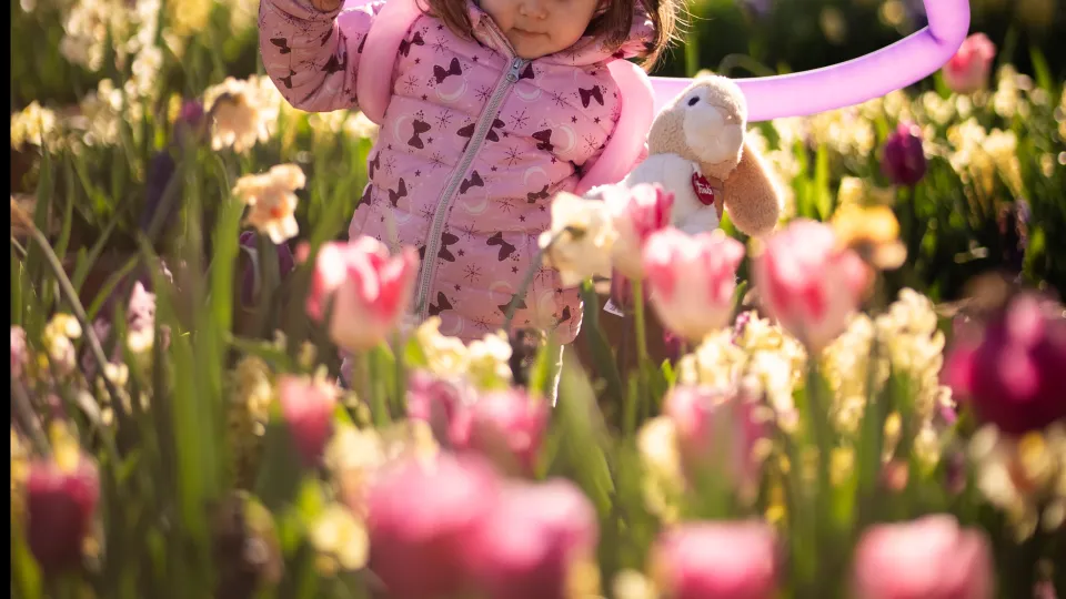 il parco dei tulipani