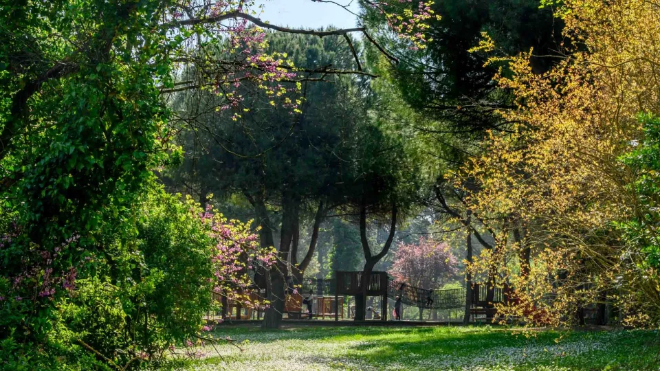 il parco della Resistenza a Riccione