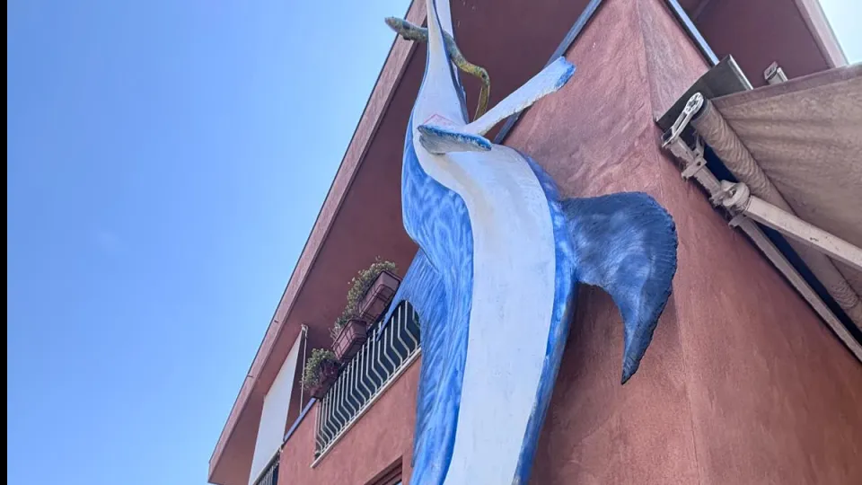 il pesce spada