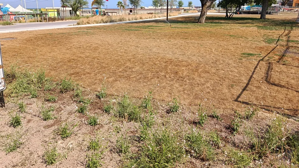 il prato nell'area della ex colonia nella foto inviata da una residente