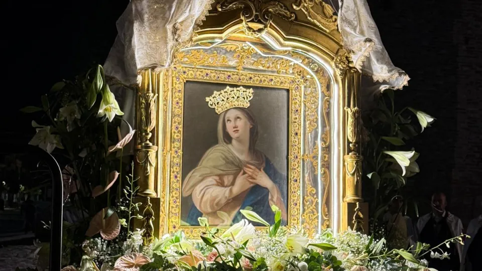 Il quadro della Madonna della Misericordia in processione
