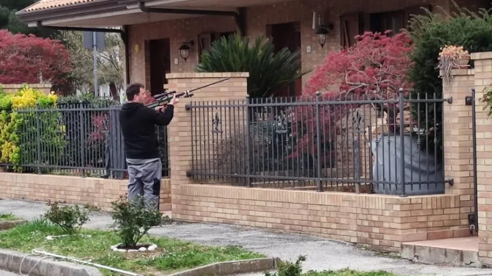 il veterinario all'opera