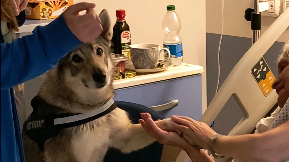 Interventi assistiti con gli animali all'Hospice di Rimini