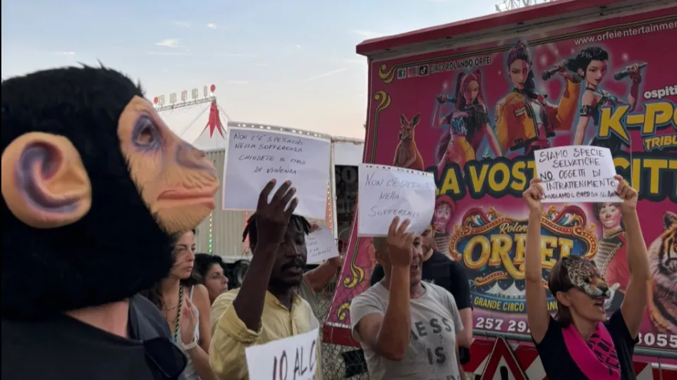 La manifestazione di protesta