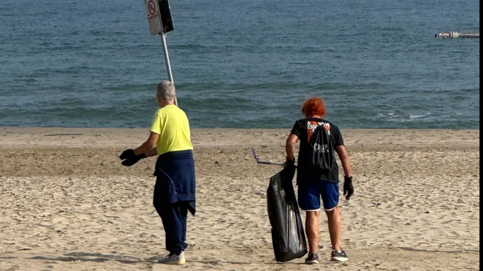 la raccolta in spiaggia