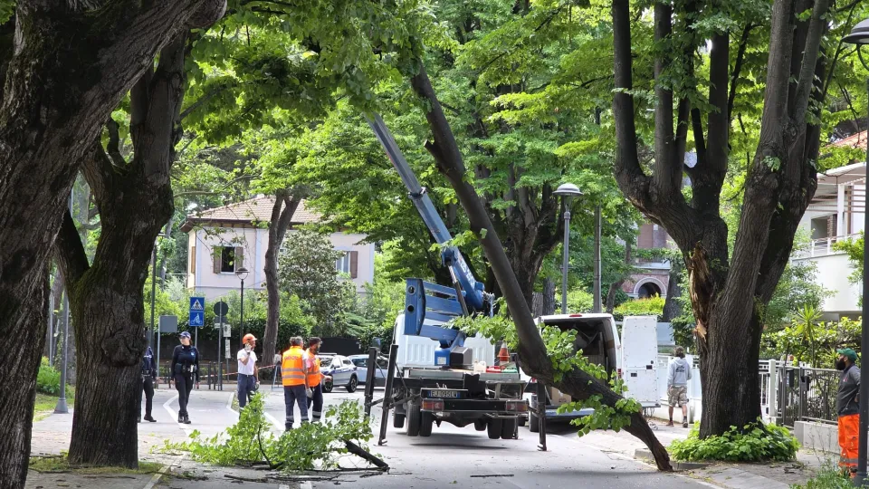 l'albero crollato per il vento a Riccione