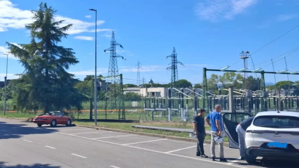 l'albero in viale Empoli