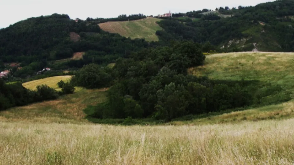 l'ingresso della grotta (Da ER Ambiente)