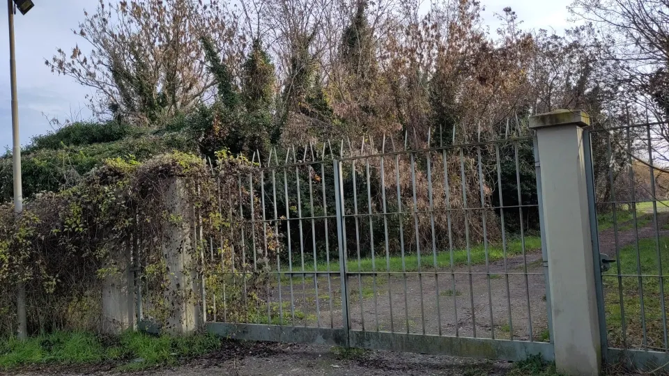 l'ingresso dell'area