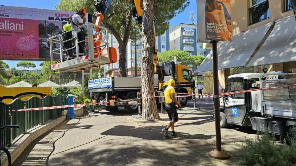 L'intervento per l'abbattimento del pino