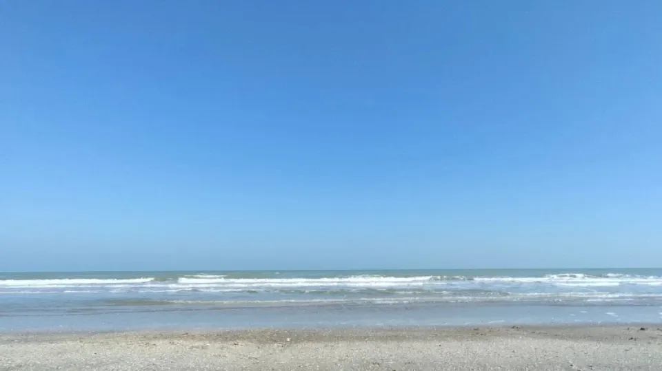 Mare