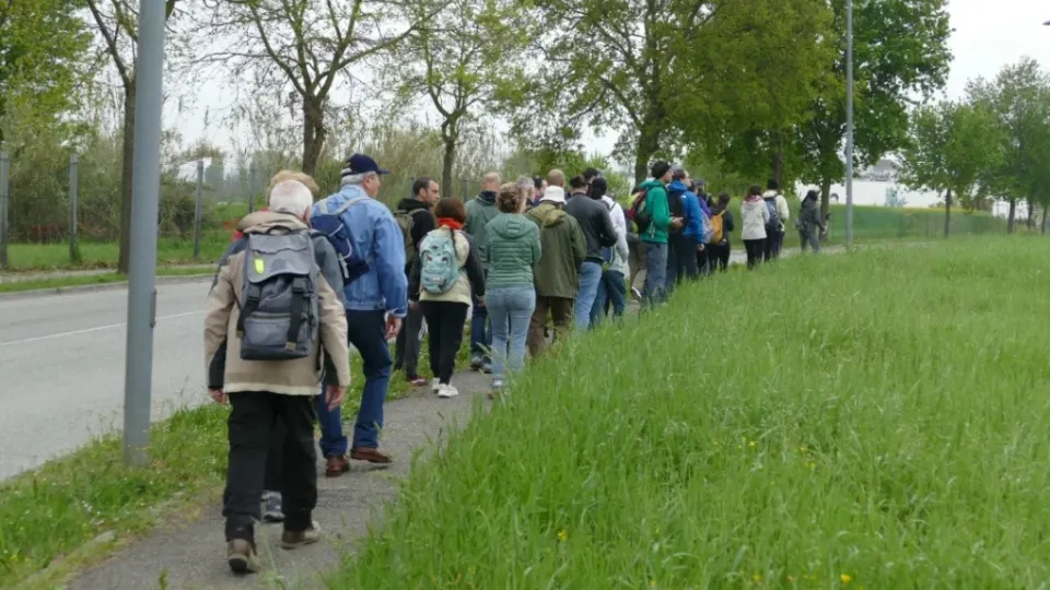 mostra altissime voci