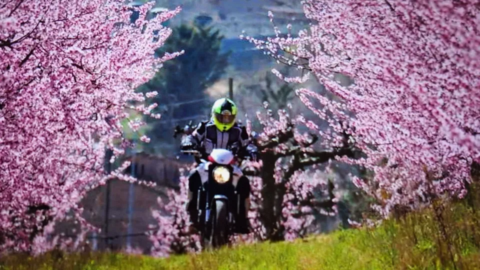 Motorcycle