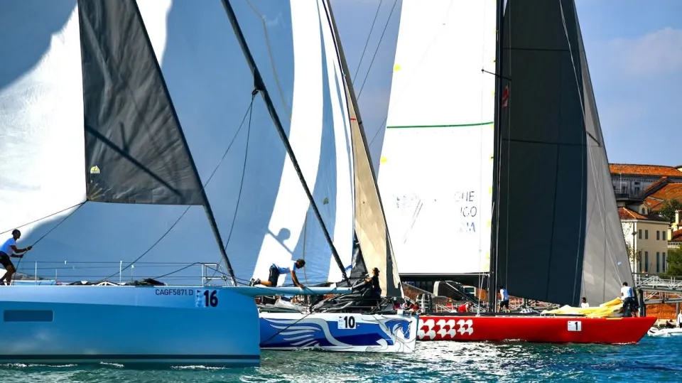 Pegaso alla Veleziana 2026
