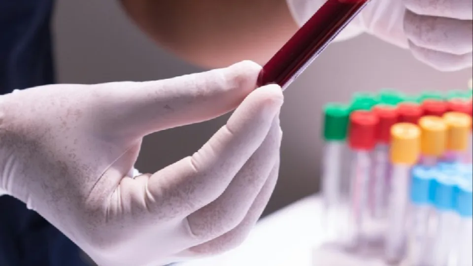 (Pexels, @Los Muertos Crew)