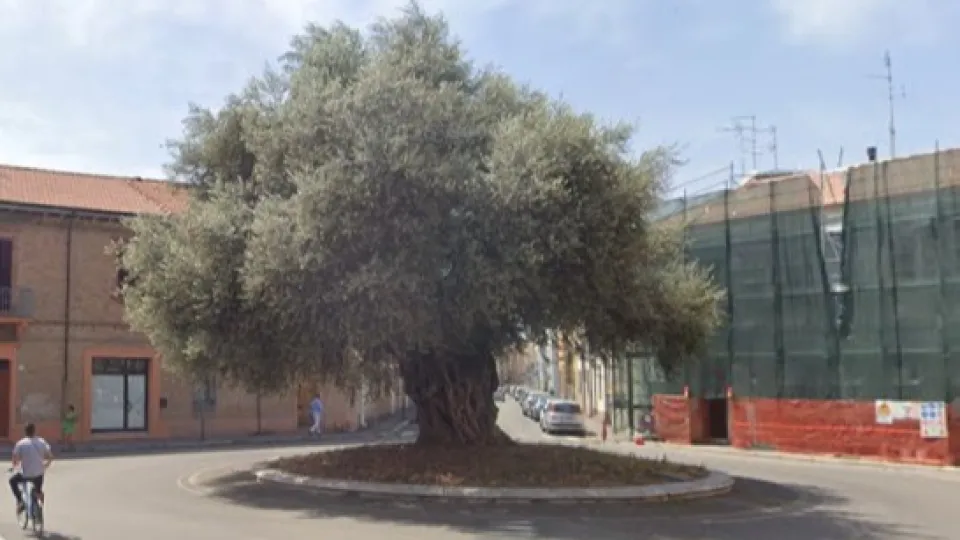 piazzale Plebiscito (Google Maps)