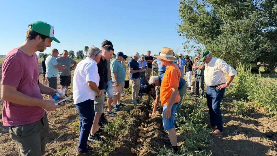 Progetto Patata di Romagna