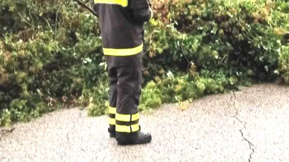 repertorio